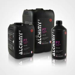 P7 - NETTOYANT JANTES