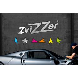 LOGO MURAL ZVIZZER