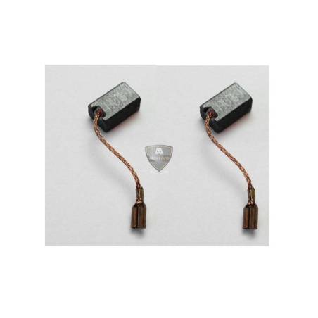 CHARBONS POUR EX620 (x2)