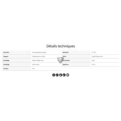 DISQUE ABRASIF SUR MOUSSE IRIDIUM SOFT 77mm (x20)