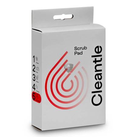 SCRUB PAD (pad de décrassage double face)